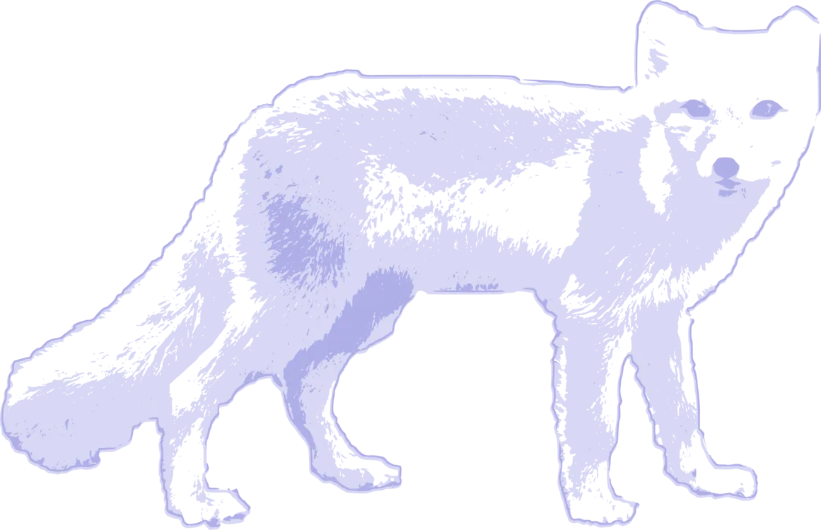 Arctic fox yin-yang, balanced nature, harmony png